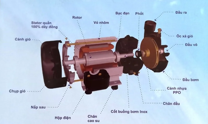 Các bộ phận của máy bơm nước 2