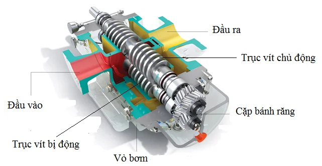 Nguyên lý làm việc bơm trục vít