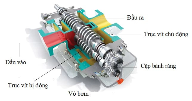 Cấu tạo của bơm