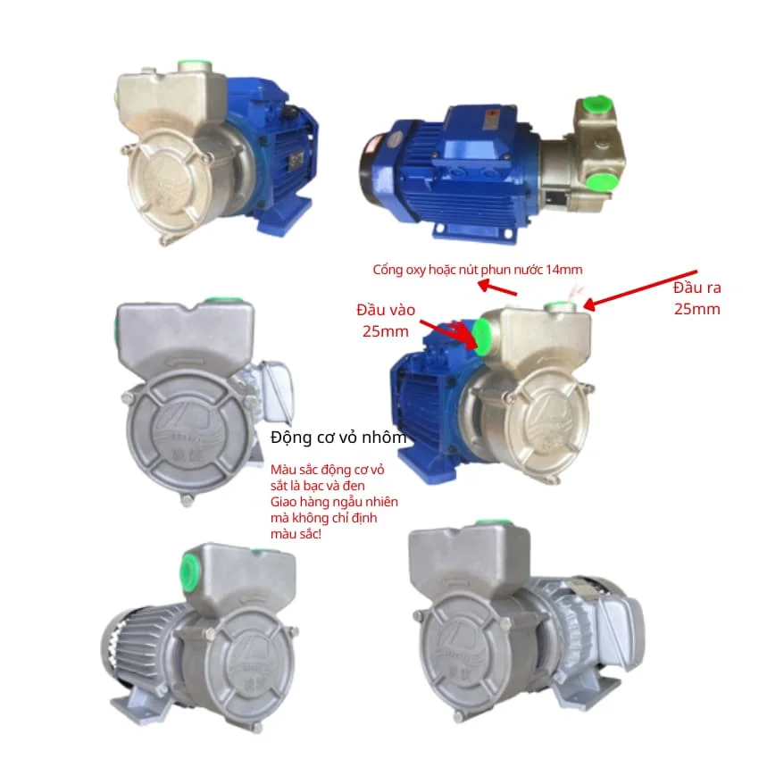 Đầu vào và đầu ra của máy bơm nước