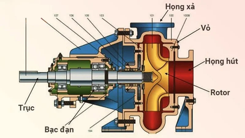 Hình ảnh minh họa (1)