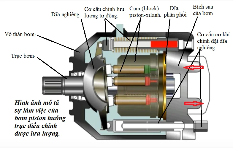 Hình ảnh minh họa (2)