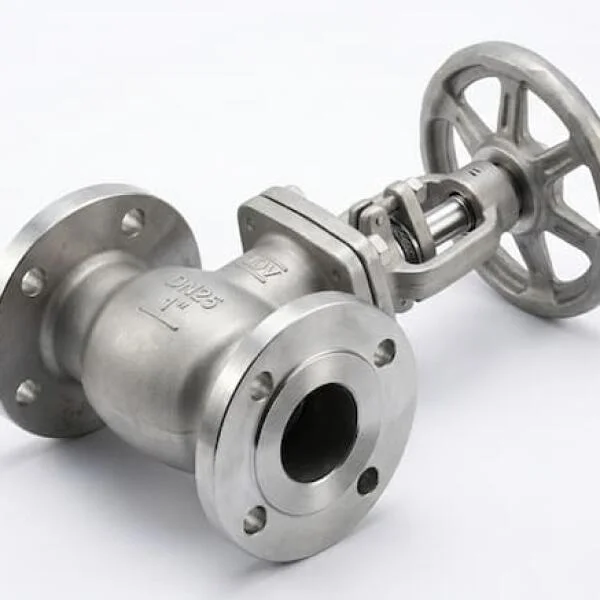 DN25 Globe Valve là gì? Cách chọn van cầu DN25 chuẩn kỹ thuật