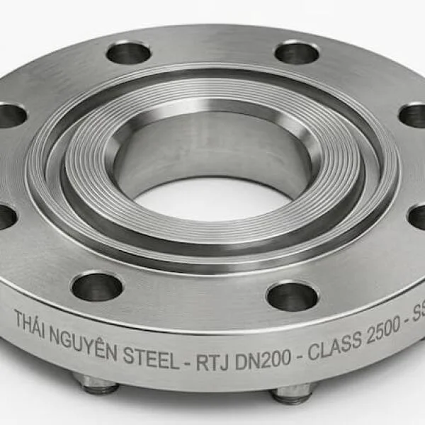 Ring Type Joint Flange Là Gì? Cấu Tạo, Ứng Dụng Và Cách Chọn