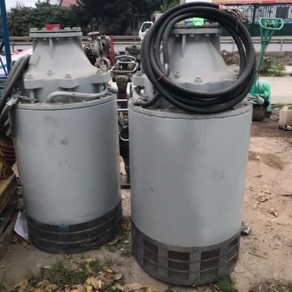 Bơm Chìm Nhật Bãi