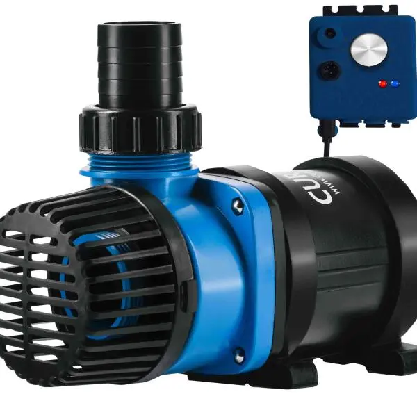 DC pump