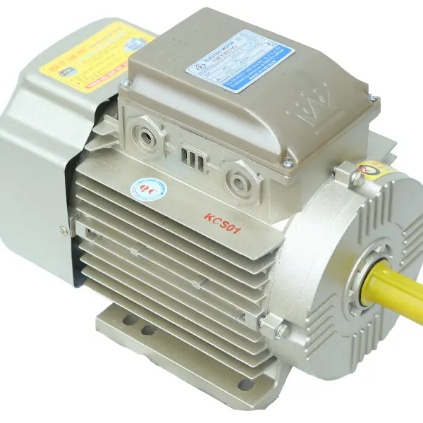 Động cơ 220v