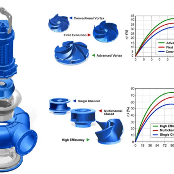 Faggiolati pumps