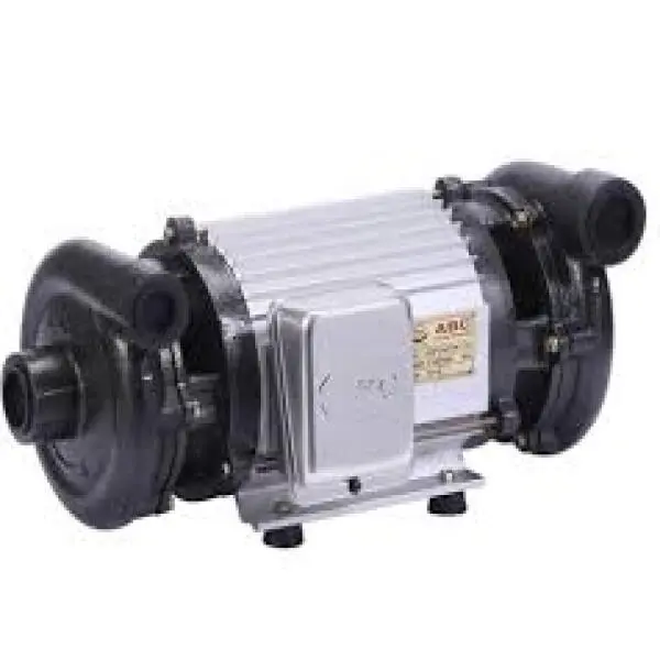 Motor 2 đầu bơm