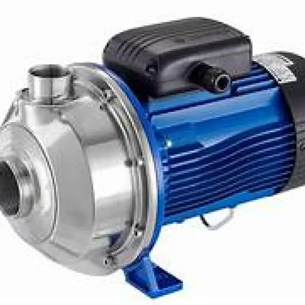 Lowara Pump
