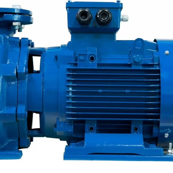 Máy bơm nước Electric Water Pump