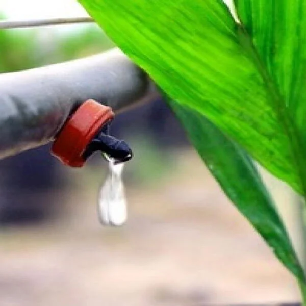 Máy Bơm Tưới Nhỏ Giọt