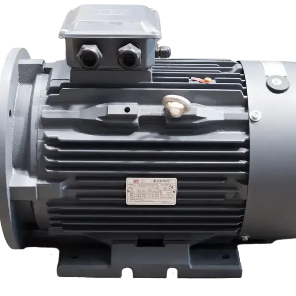 Motor 132kW