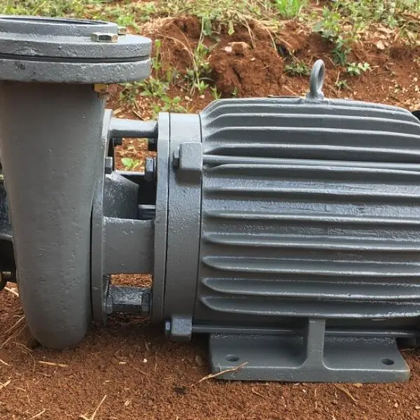 Motor bơm nước tưới cây