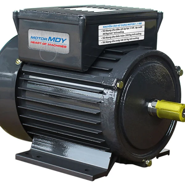 Motor một ngựa