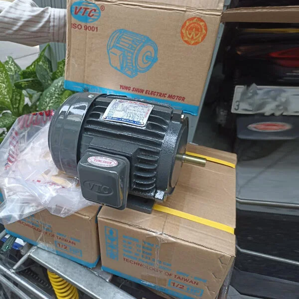 Motor nửa ngựa