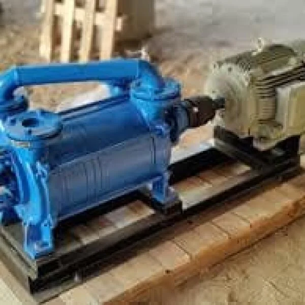 Process Vacuum Pump