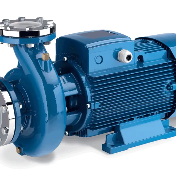 Water pump motor