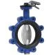 Butterfly Valve