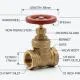 1/2 Gate Valve Dimensions: Full Size Chart & Selection Guide