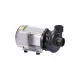 Motor Tân Hoàng Cầu