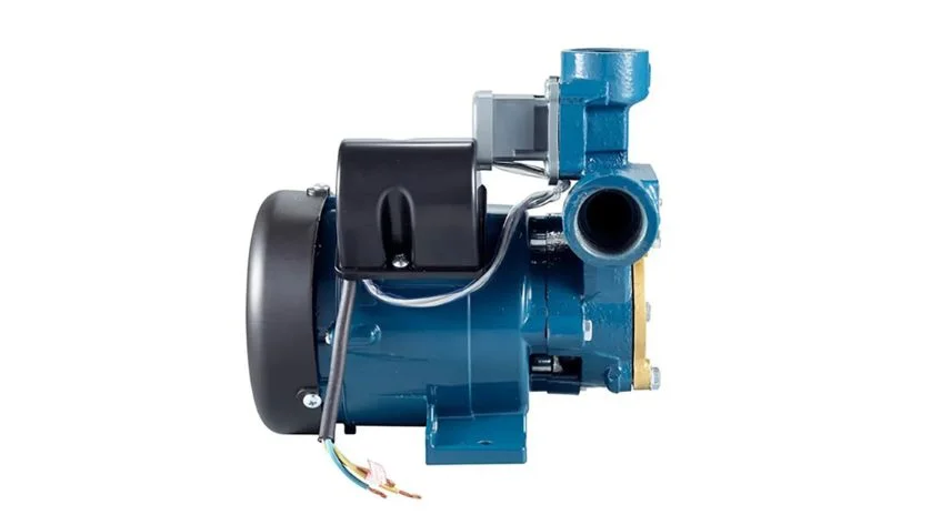 Hình ảnh minh họa 2