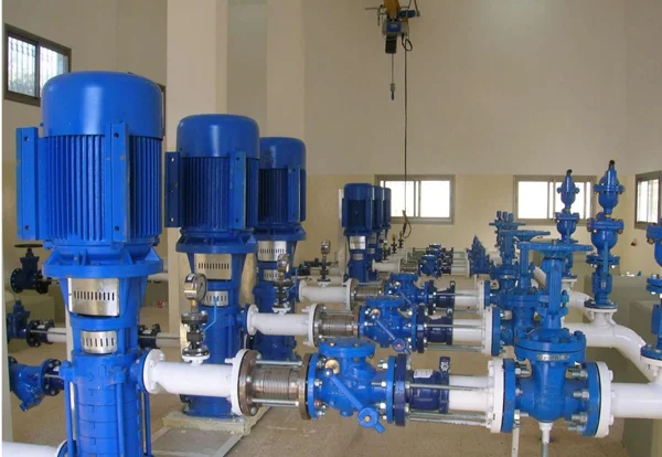 Hình ảnh minh họa 2