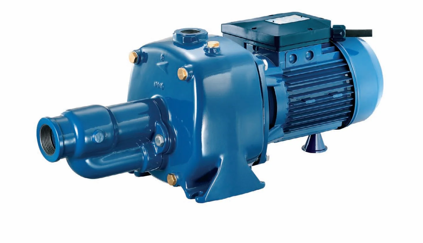 Hình ảnh minh họa 1