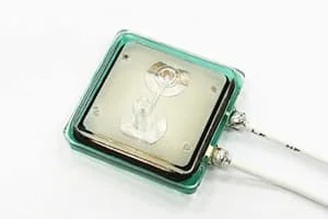 Hình ảnh minh họa (1)