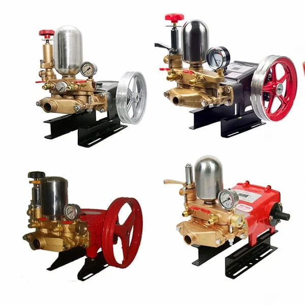 Hình ảnh minh họa (2)