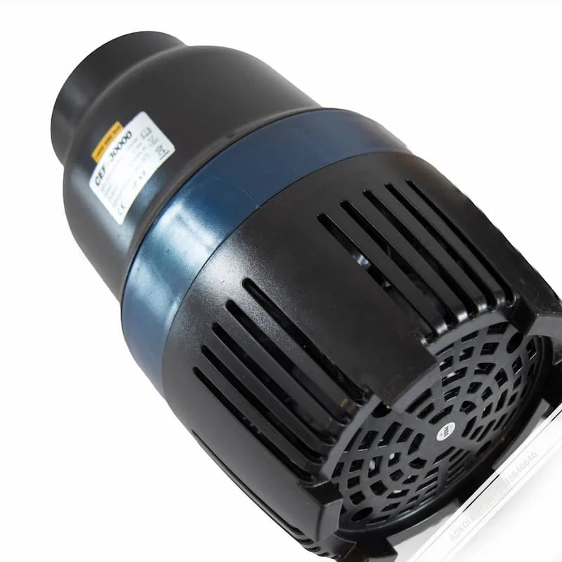 Hình ảnh minh họa (1)