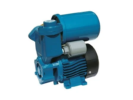 Hình ảnh minh họa 1