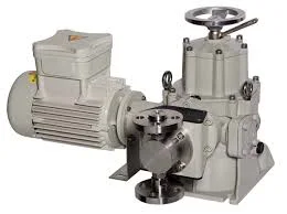 Hình ảnh minh họa 2