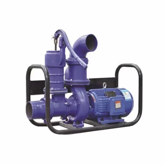 Hình ảnh minh họa (2)