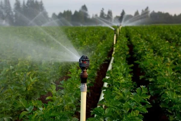 Hình ảnh minh họa (2)