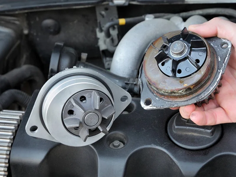 Hình ảnh minh họa 2