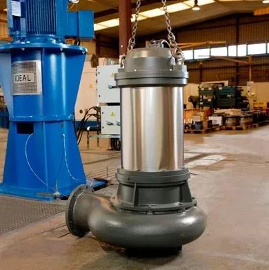 Hình ảnh minh họa 2