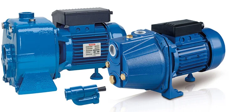 Hình ảnh minh họa 2