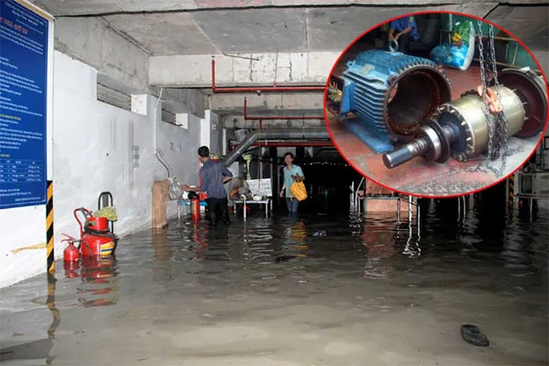 Hình ảnh minh họa 1