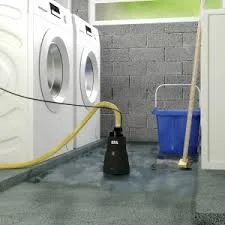 Hình ảnh minh họa 2