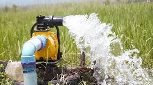 Hình ảnh minh họa (1)