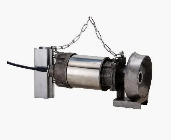 Hình ảnh minh họa 2