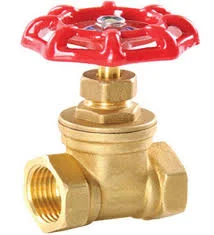 Hình ảnh minh họa 1