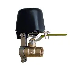 Hình ảnh minh họa 2