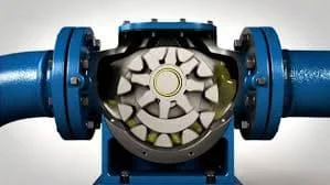 Hình ảnh minh họa (1)