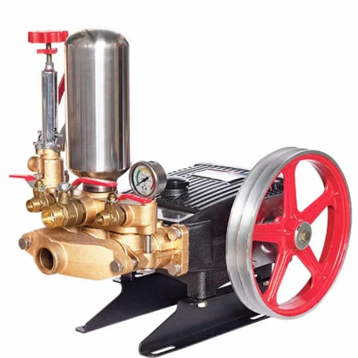 Hình ảnh minh họa (2)