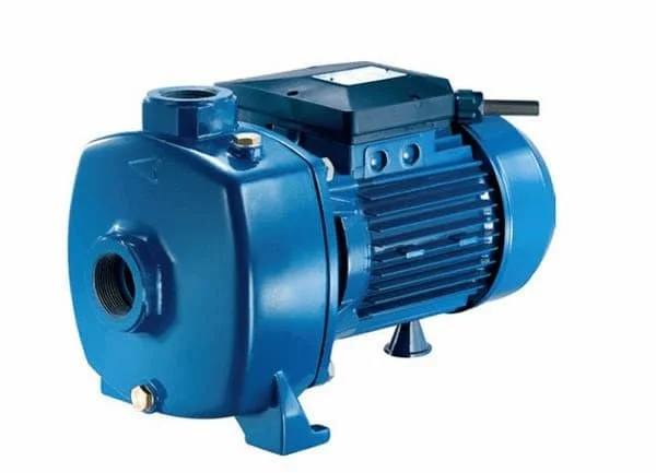 Hình ảnh minh họa (2)