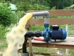 Hình ảnh minh họa 2