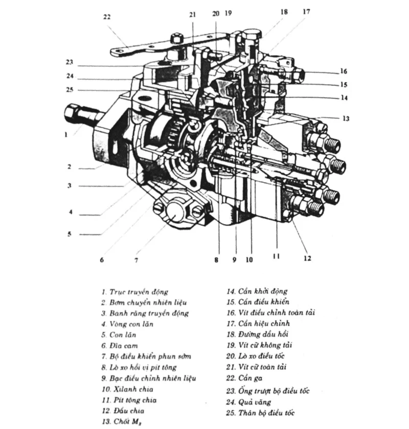 Cấu tạo Bơm cao áp 2