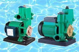 Hình ảnh minh họa 2